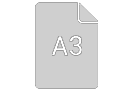A3